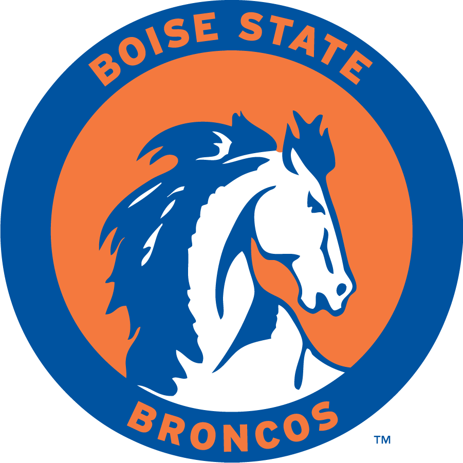 Boise State Broncos 1969-1974 Primary Logo diy DTF decal sticker